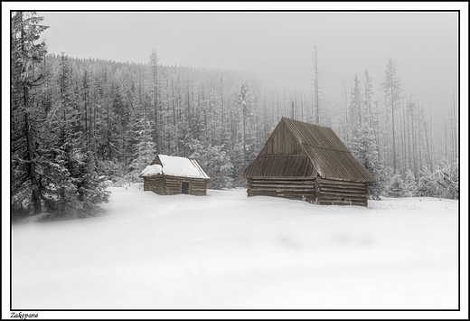 Zakopane - Dolina Kopieniec zasnuta mg