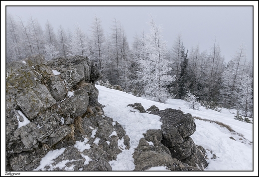 Zakopane - Wielki Kopieniec i mglisty widok