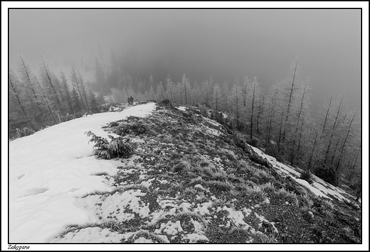 Zakopane - Wielki Kopieniec i mglisty widok