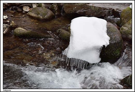 Zakopane -  szlak na Wielki Kopieniec