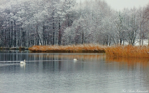 Listopadowe Mazury