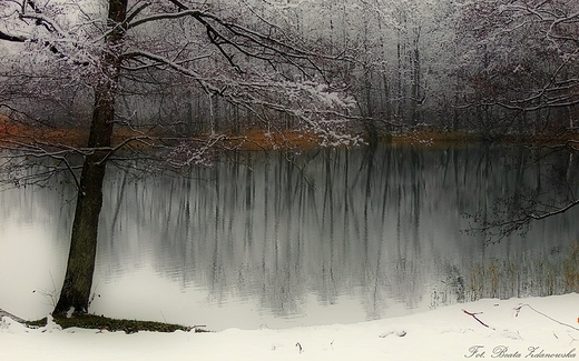 Mazury