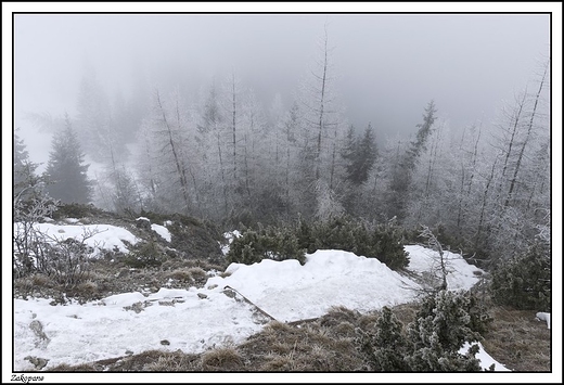 Zakopane - Wielki Kopieniec i mglisty widok