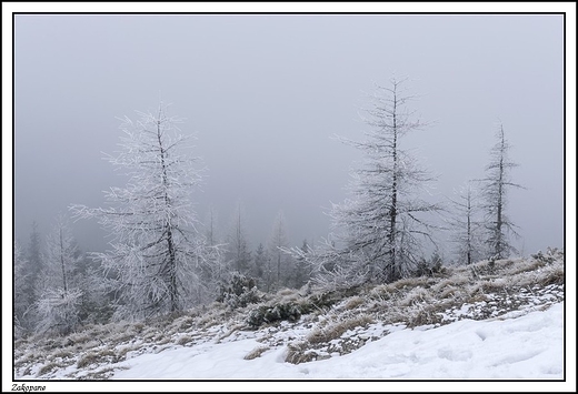 Zakopane - Wielki Kopieniec i mglisty widok