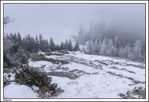 Zakopane - Wielki Kopieniec i mglisty widok