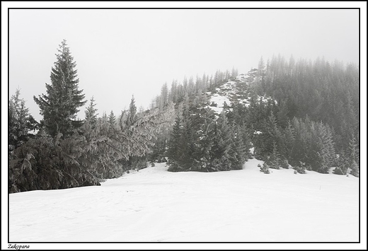 Zakopane - Wielki Kopieniec i mglisty widok _ ujcie z polany