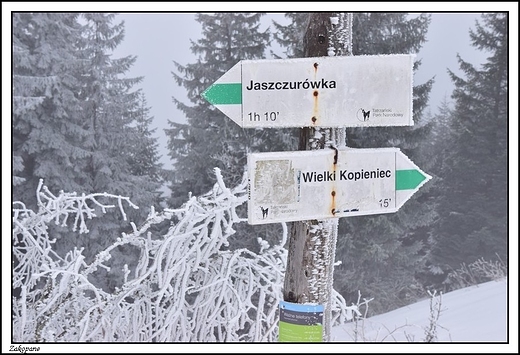 Zakopane -  szlak na Wielki Kopieniec