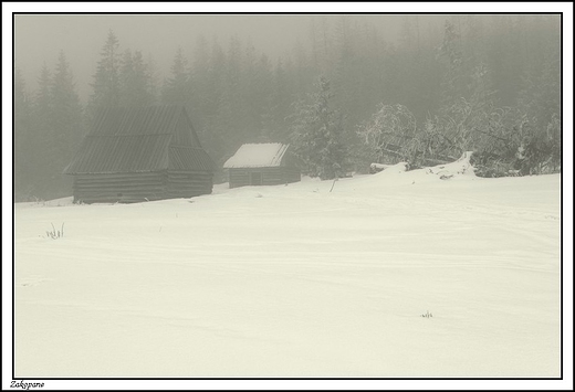 Zakopane -  Polana Kopieniec