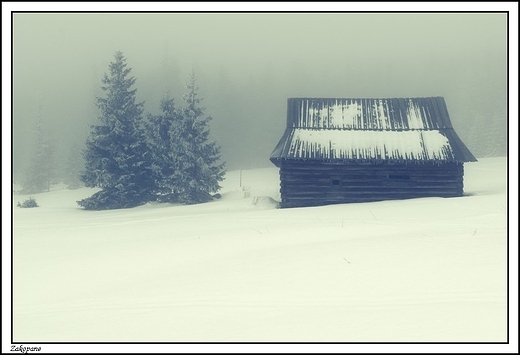 Zakopane -  Polana Kopieniec