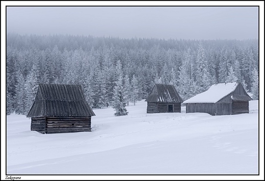 Zakopane -  Polana Kopieniec