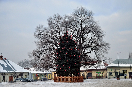 Rynek