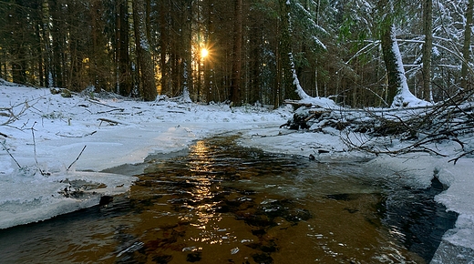 Zimowe popoudnie nad redni