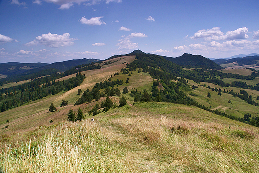 Z Palenicy na Wysok.