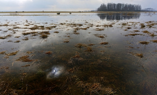 Przedwionie nad Supral