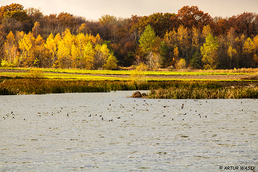 lubelskie klimaty