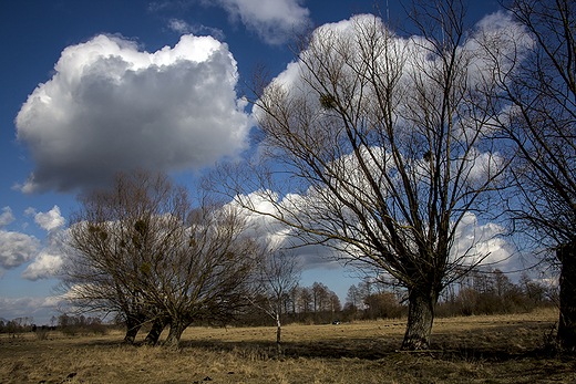 hrubieszowskie klimaty