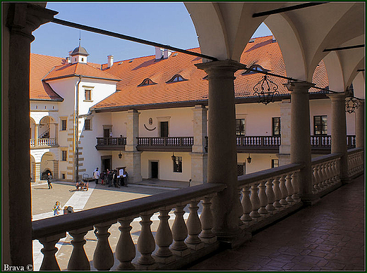 ZAMEK KRLEWSKI W NIEPOOMICACH - KRUGANKI