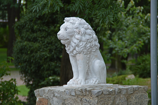 Gogolin - Gogolinskie lwy