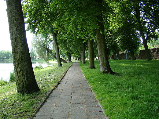 Park