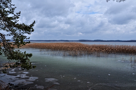 Jezioro Wigry, ostatnie dni lodu