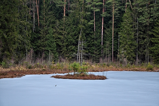 Suchar Rzepiskowy, Wigierski PN