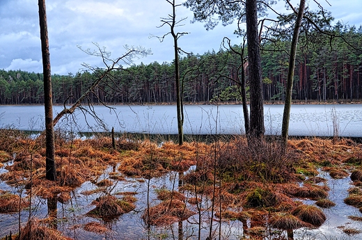 Jeziorko lepiec, Wigierski PN