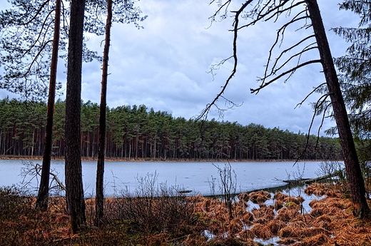 Jeziorko lepiec, Wigierski PN