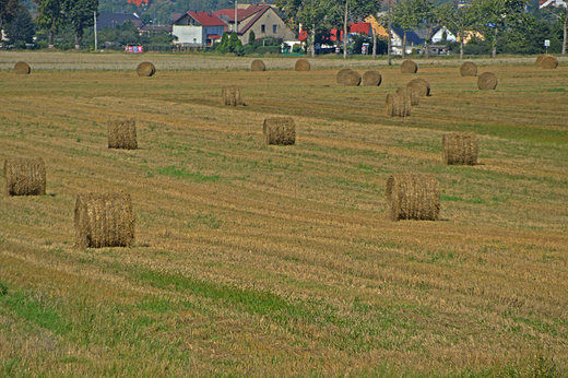 Gogolin - Krajobraz po niwach