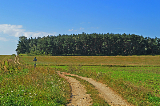 Gogolin - Opolski krajobraz