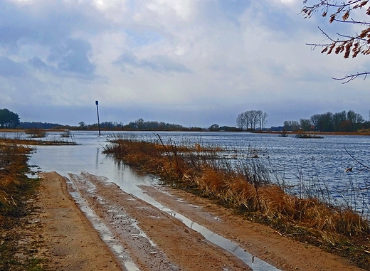 Narew wiosn