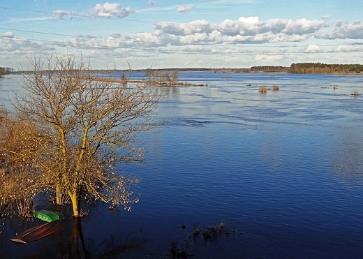 Narew wiosn przed mostem w miejscowoci Ru.