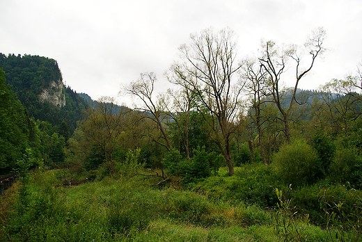 Szczawnica. Cypel.