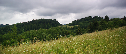 Pieniskie widoki.