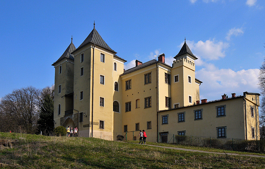 Grodziec. Zamek Grodzieckich.