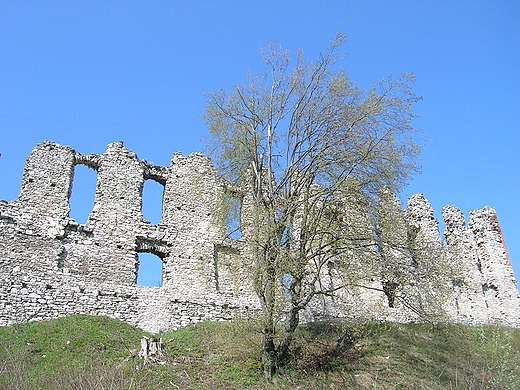 Rabsztyn.Ruiny zamku.