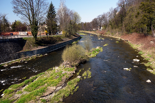 Cieszyn. Rzeka Olza.