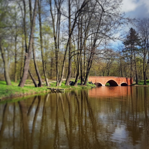 Zrewitalizowany park w Mochowie...