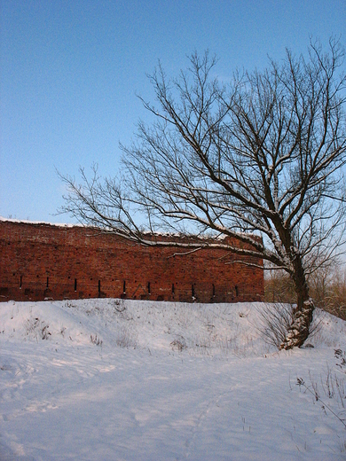Ruiny Zamku Dybowskiego w Toruniu