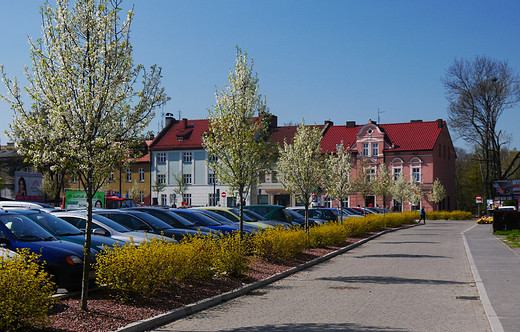 Wiosenny spacer po Pszczynie.