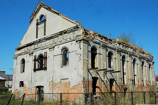 Dziaoszyce - bonica