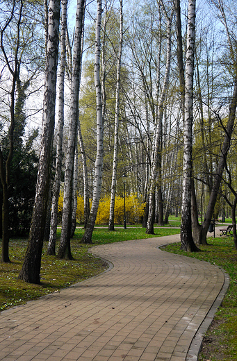 Goczakowice-Zdrj. Park zdrojowy.