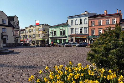 Skoczw. Zabytkowy rynek.