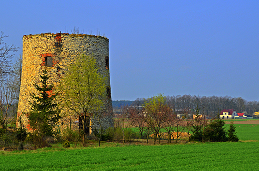 Gogolin - Ruiny wiatraka