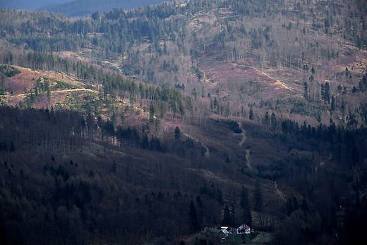 Do schroniska na Batniej przez Wielk Cisow. Cz.2