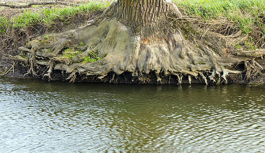 wiosennie nad rz.Huczwa