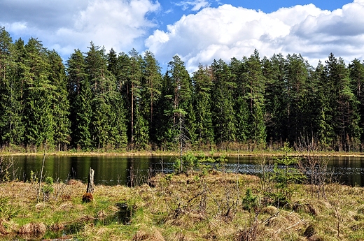 Puszczaskie jeziorko, Wigierski PN