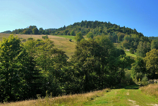 Beskid Sdecki w okolicy Leluchowa.