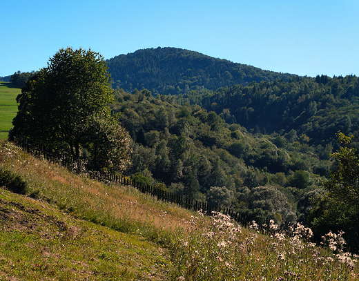 Beskid Sdecki w okolicy Leluchowa.