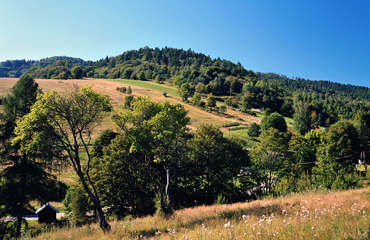 Beskid Sdecki w okolicy Leluchowa.