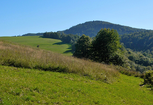 Beskid Sdecki w okolicy wsi Dubne.